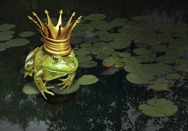 frog prince