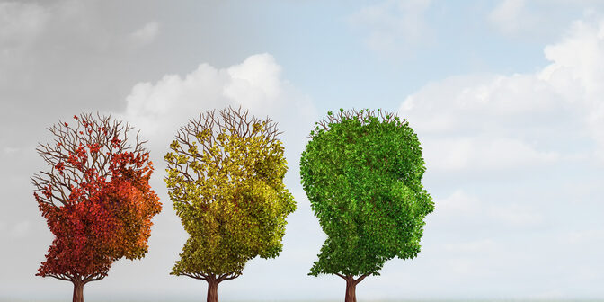 external collections